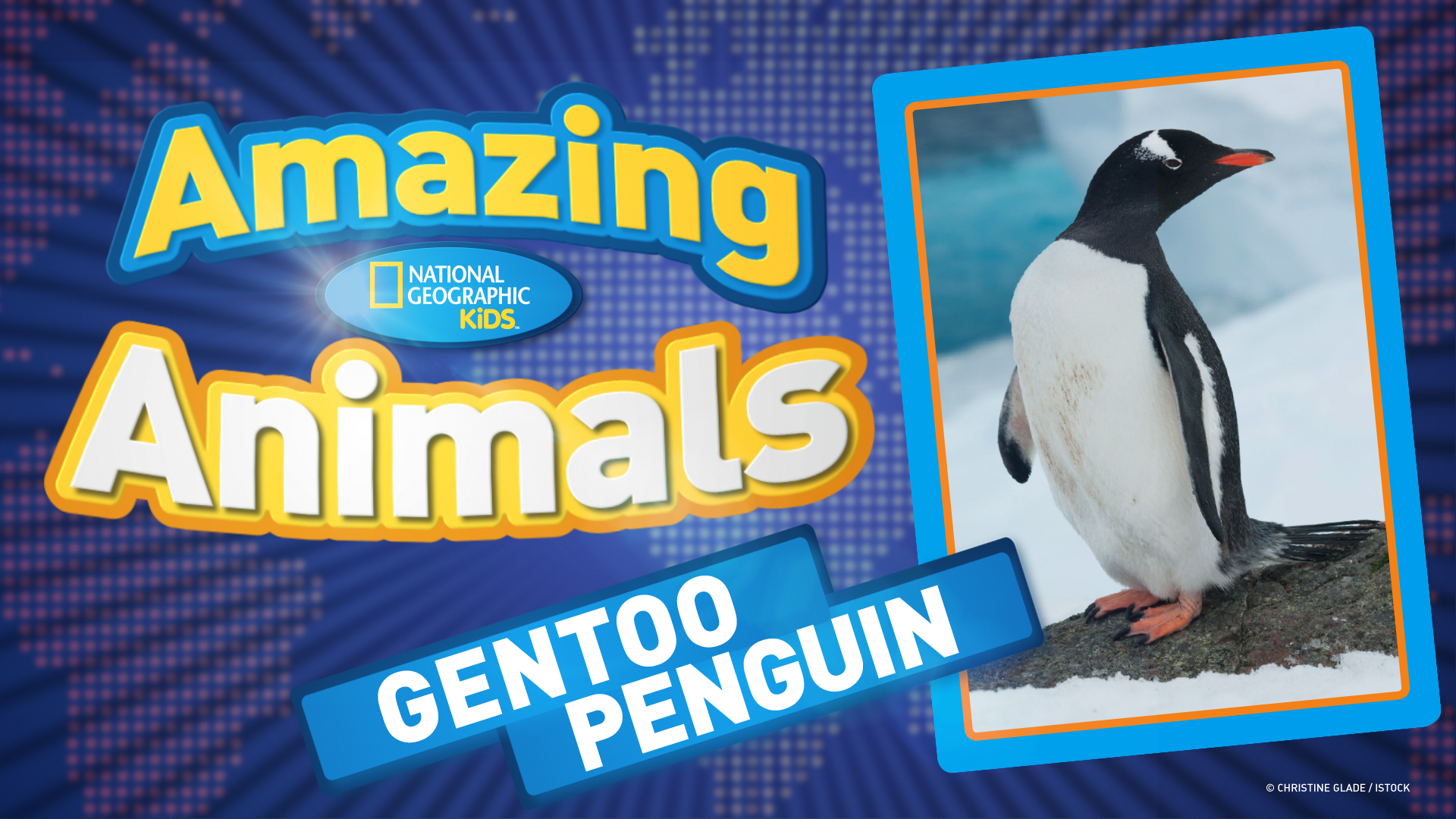 Videos for Kids -- National Geographic Kids