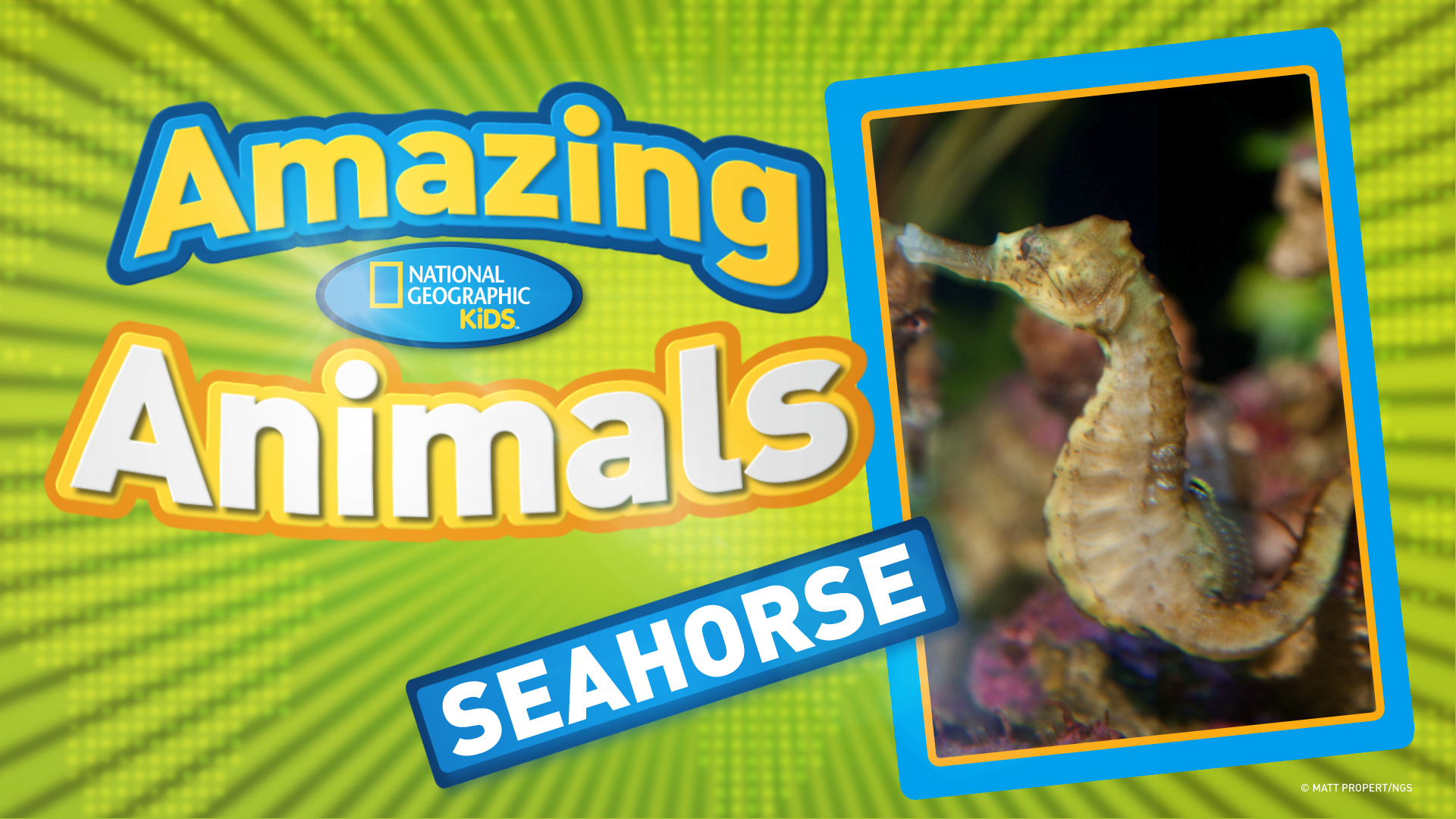 Videos for Kids -- National Geographic Kids