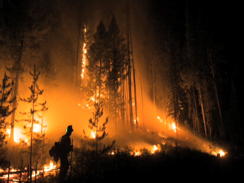Fighting Wildfires