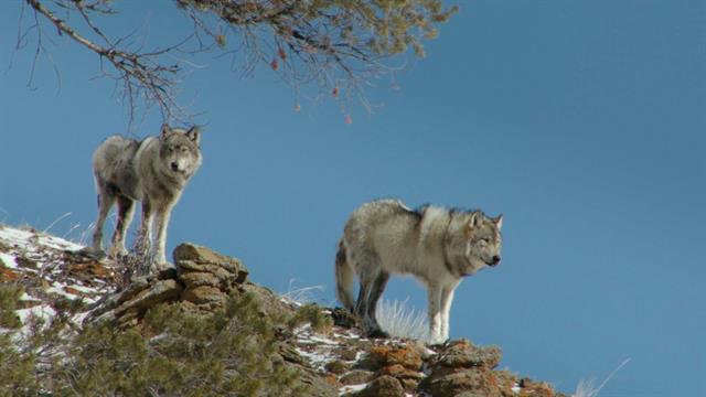 1544147523910_640x360_1544168515962.jpg