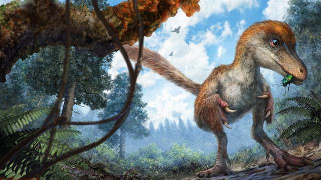 dinosaur found in amber with feathers