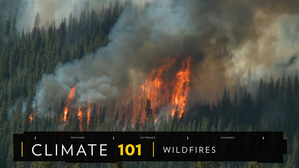 Wildfire Safety Tips Facts And Information - 
