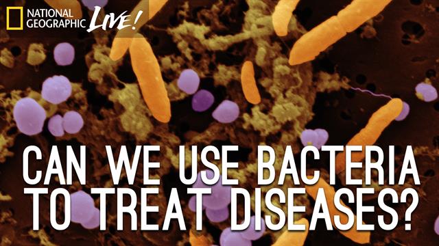 Can We Use Bacteria to Treat Diseases?