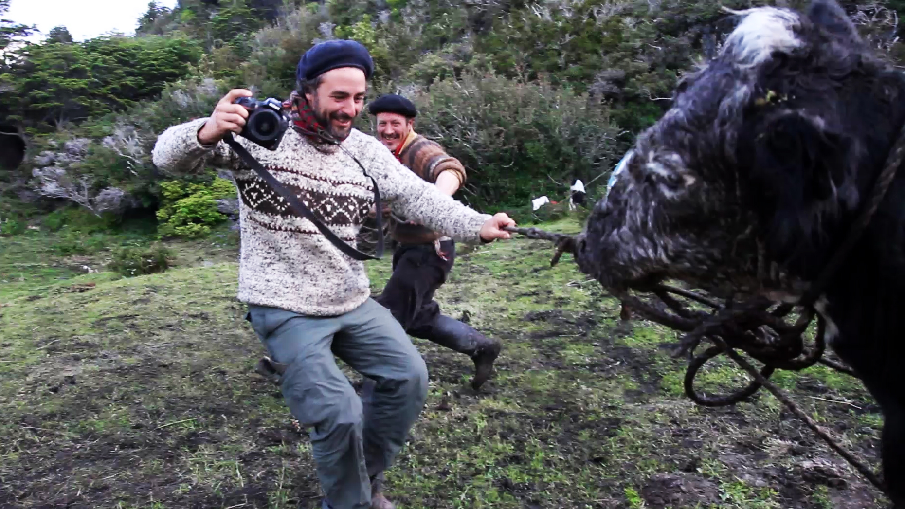 When Falling Off a Horse is Part of the Job Description