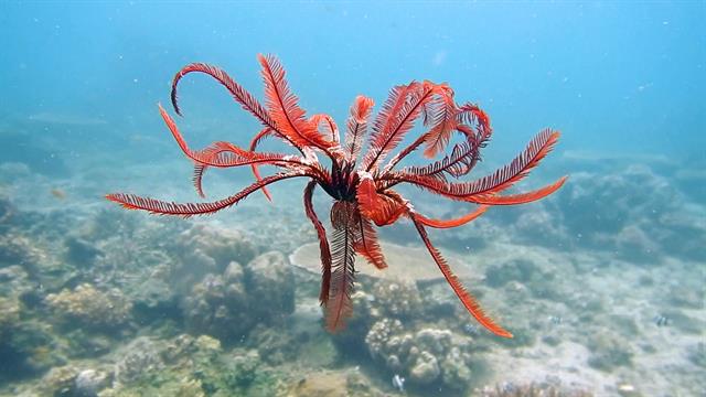 3 surprising sources of oil pollution in the ocean
