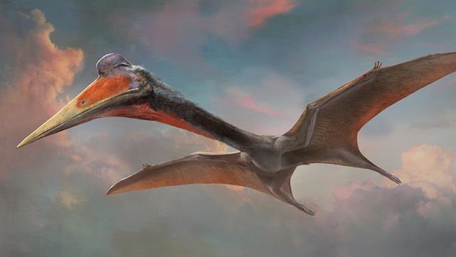 New Canadian Frozen Dragon Pterosaur Found Hiding In Plain Sight