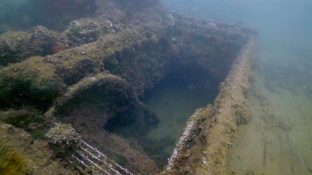 Peer Into A Fallen Battleship At Pearl Harbor