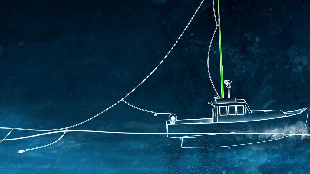 green stick fishing rod