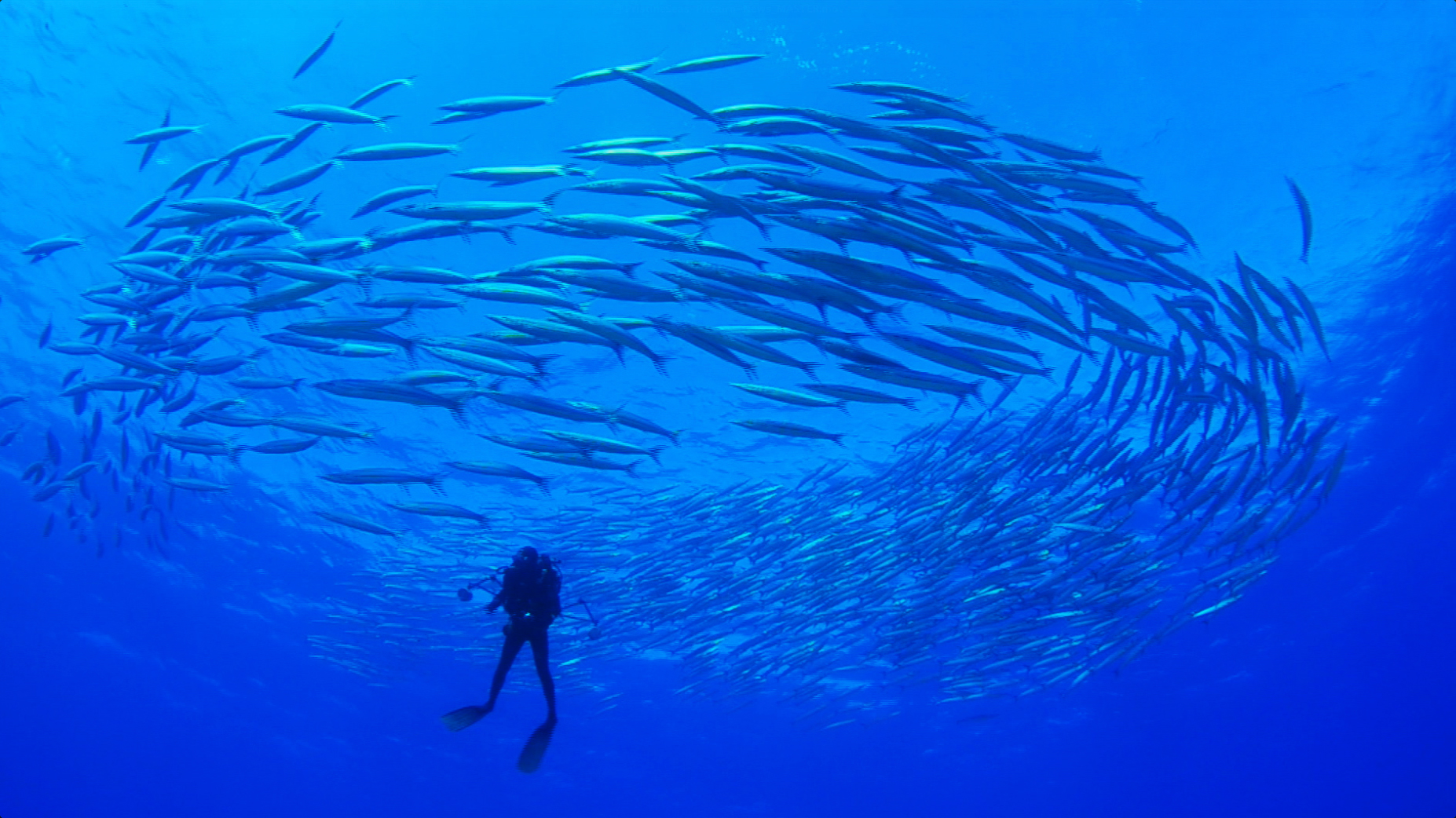 Worlds Largest Single Marine Reserve Created In Pacific 1544