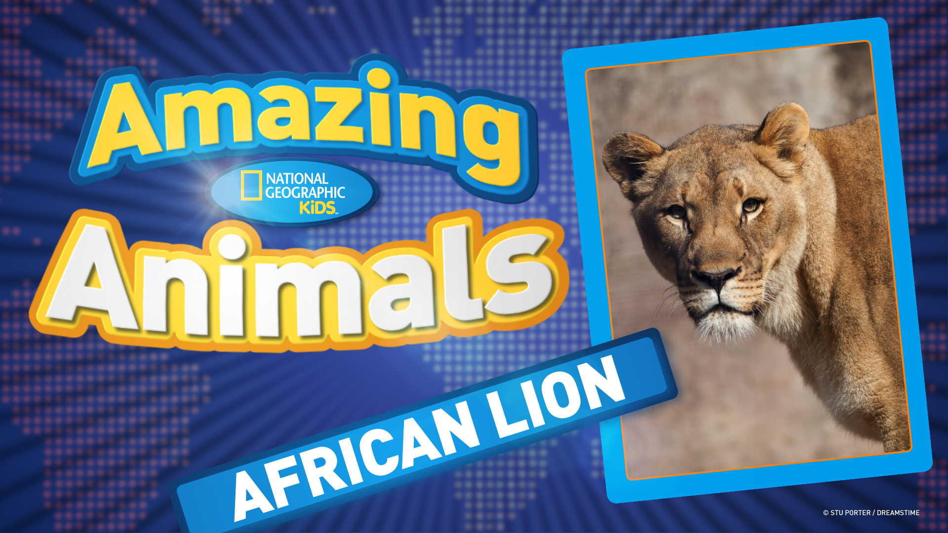 National Geographic Kids Lions | Kids Matttroy