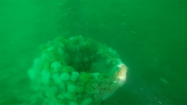 See the WWI Submarine Discovered Off the Coast of Belgium