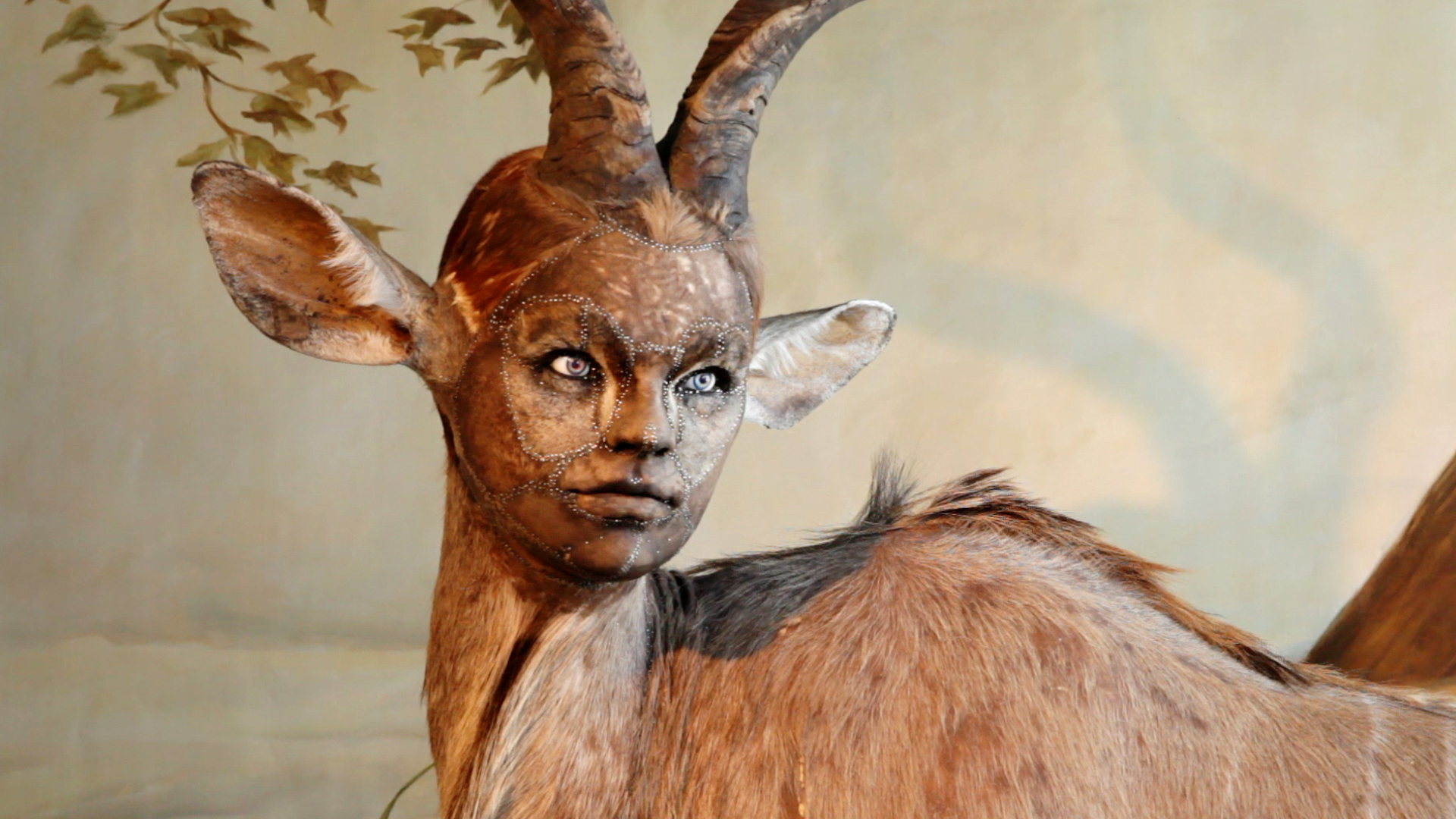 Human Looking Faces On Animal Bodies Taxidermy As Art