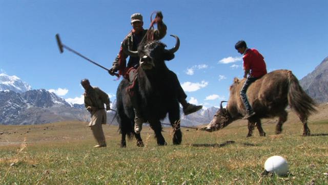 Yak Polo Draws Tourists to Remote Pakistan Village