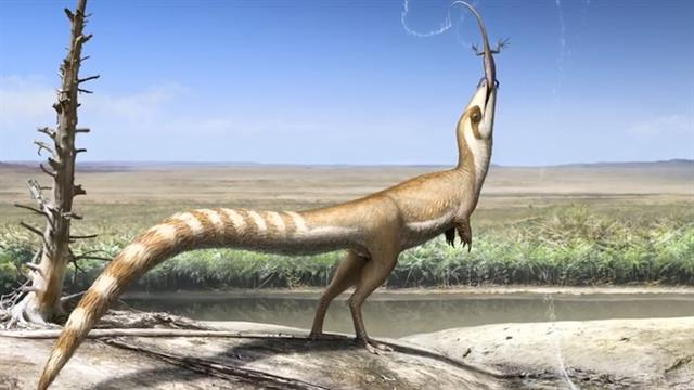 Dinosaur May Have Looked Like a Raccoon