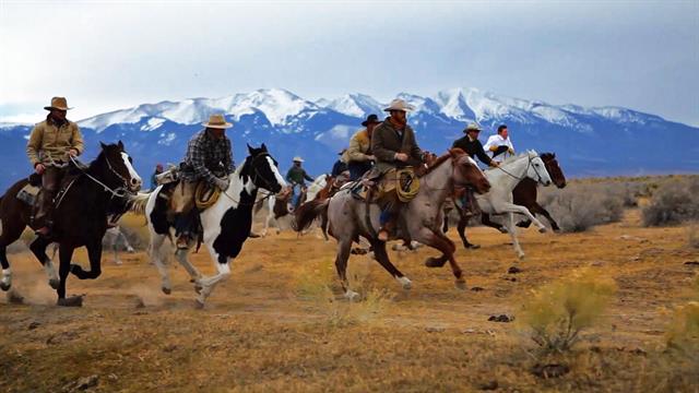 Chase a Wild Buffalo Stampede With These Heroic Cowboys