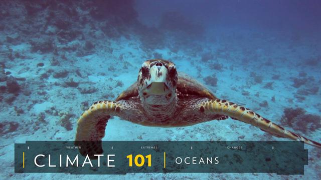 Climate 101: Oceans